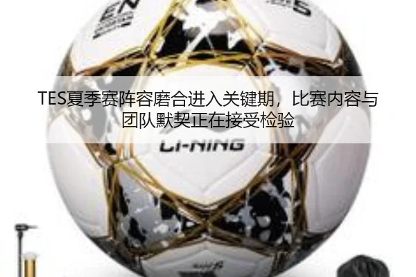 TES夏季赛阵容磨合进入关键期，比赛内容与团队默契正在接受检验